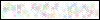 Auth Image