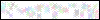 Auth Image