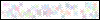 Auth Image