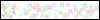Auth Image