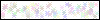 Auth Image