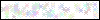 Auth Image