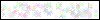 Auth Image
